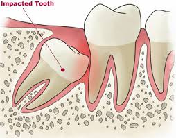 orthodontist